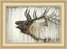 Load image into Gallery viewer, Nature's Art