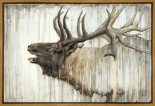 Load image into Gallery viewer, Nature's Art Gallery Wrap