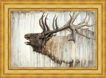 Load image into Gallery viewer, Nature's Art