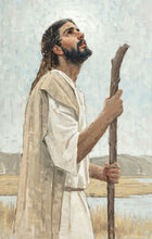Load image into Gallery viewer, Our Shepherd Gallery Wrap