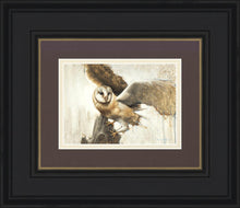 Load image into Gallery viewer, Graceful Landing