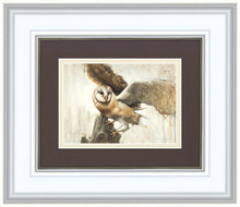 Load image into Gallery viewer, Graceful Landing