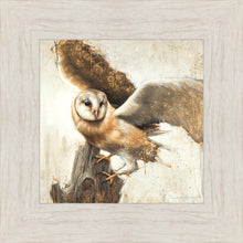 Load image into Gallery viewer, Graceful Landing