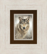 Load image into Gallery viewer, Untamed Eyes Gallery Wrap