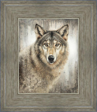 Load image into Gallery viewer, Untamed Eyes Gallery Wrap