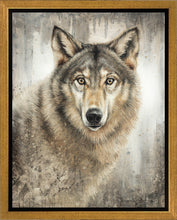 Load image into Gallery viewer, Untamed Eyes