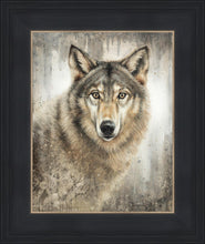 Load image into Gallery viewer, Untamed Eyes