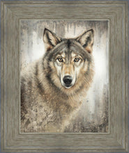 Load image into Gallery viewer, Untamed Eyes
