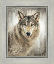 Load image into Gallery viewer, Untamed Eyes