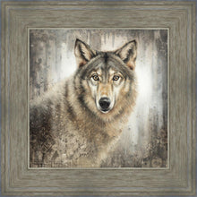Load image into Gallery viewer, Untamed Eyes