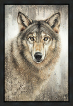 Load image into Gallery viewer, Untamed Eyes Gallery Wrap