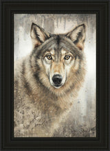 Load image into Gallery viewer, Untamed Eyes