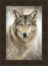 Load image into Gallery viewer, Untamed Eyes