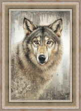Load image into Gallery viewer, Untamed Eyes