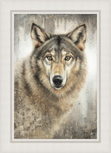 Load image into Gallery viewer, Untamed Eyes
