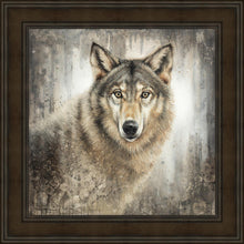 Load image into Gallery viewer, Untamed Eyes