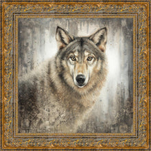 Load image into Gallery viewer, Untamed Eyes