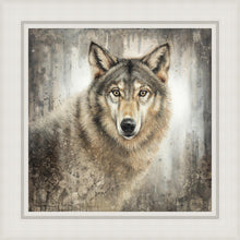 Load image into Gallery viewer, Untamed Eyes
