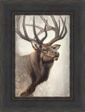 Load image into Gallery viewer, Nature's Allure