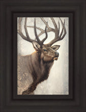 Load image into Gallery viewer, Nature's Allure