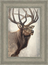 Load image into Gallery viewer, Nature's Allure