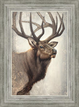 Load image into Gallery viewer, Nature's Allure