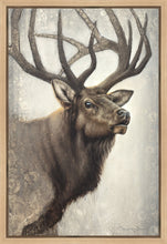 Load image into Gallery viewer, Nature's Allure