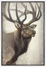 Load image into Gallery viewer, Nature's Allure