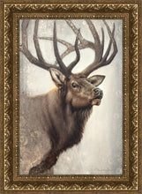 Load image into Gallery viewer, Nature's Allure