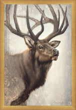 Load image into Gallery viewer, Nature's Allure