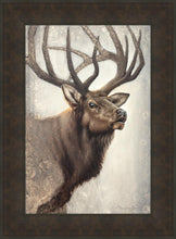 Load image into Gallery viewer, Nature's Allure