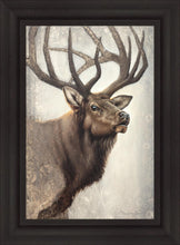 Load image into Gallery viewer, Nature's Allure