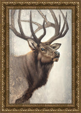 Load image into Gallery viewer, Nature's Allure