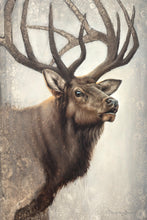 Load image into Gallery viewer, Nature's Allure