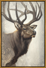 Load image into Gallery viewer, Nature's Allure