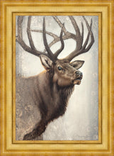 Load image into Gallery viewer, Nature's Allure