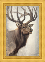 Load image into Gallery viewer, Nature's Allure