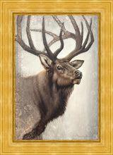 Load image into Gallery viewer, Nature's Allure
