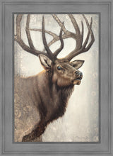 Load image into Gallery viewer, Nature's Allure