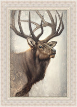 Load image into Gallery viewer, Nature's Allure