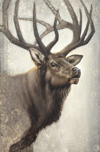 Load image into Gallery viewer, Nature's Allure