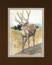 Load image into Gallery viewer, Colors of The Wild