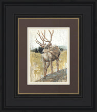 Load image into Gallery viewer, Colors of The Wild