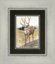 Load image into Gallery viewer, Colors of The Wild