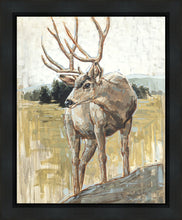 Load image into Gallery viewer, Colors of The Wild