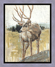 Load image into Gallery viewer, Colors of The Wild