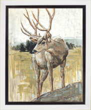 Load image into Gallery viewer, Colors of The Wild Gallery Wrap