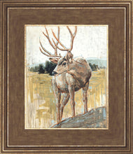 Load image into Gallery viewer, Colors of The Wild