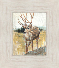 Load image into Gallery viewer, Colors of The Wild