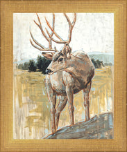 Load image into Gallery viewer, Colors of The Wild